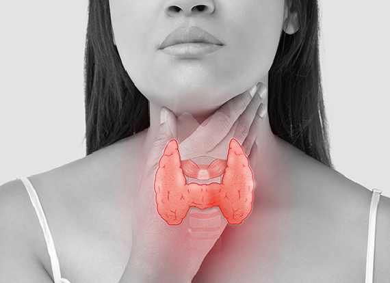 Why are thyroid disorders common in women?