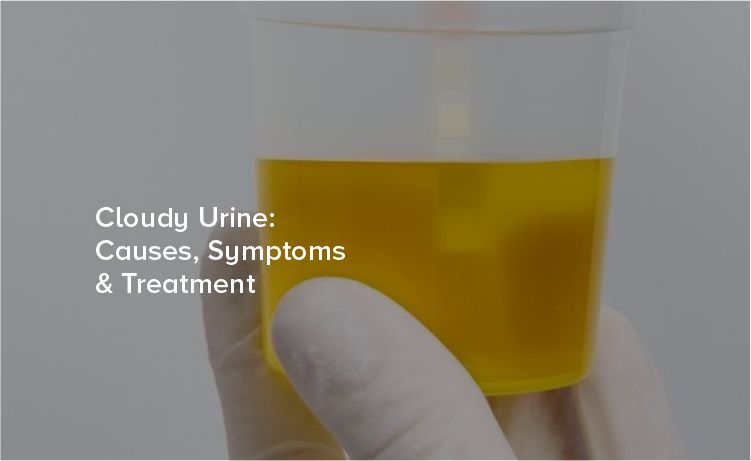 Cloudy Urine: Causes, Symptoms & Treatment